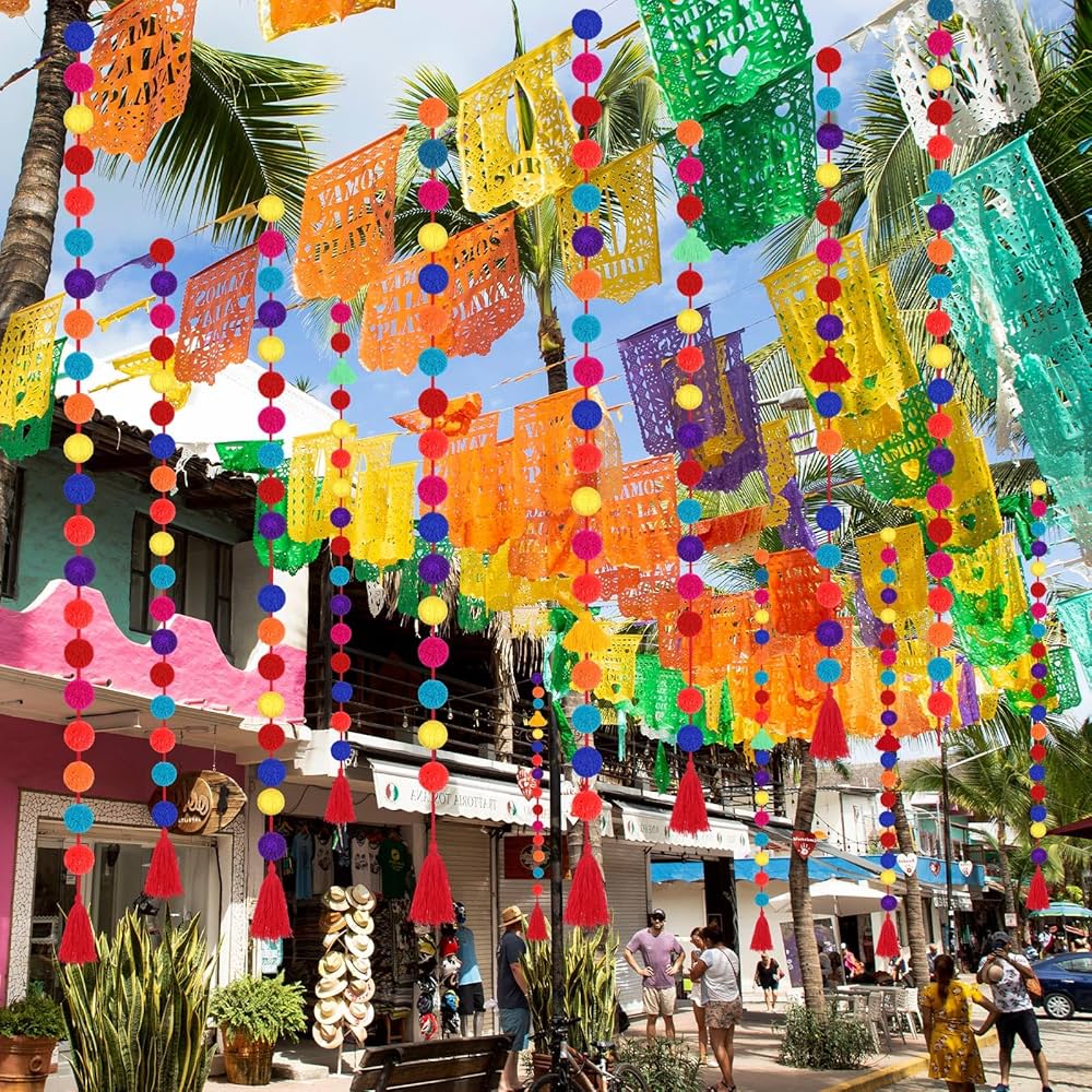 Amazon.com: VitalCozy 24 Pcs 118 ft Yarn Mexican Pom Pom